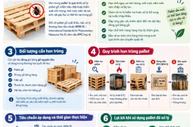 Hun Tr&ugrave;ng Pallet Gỗ Xuất Khẩu