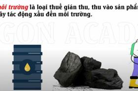 Thuế bảo vệ môi trường
