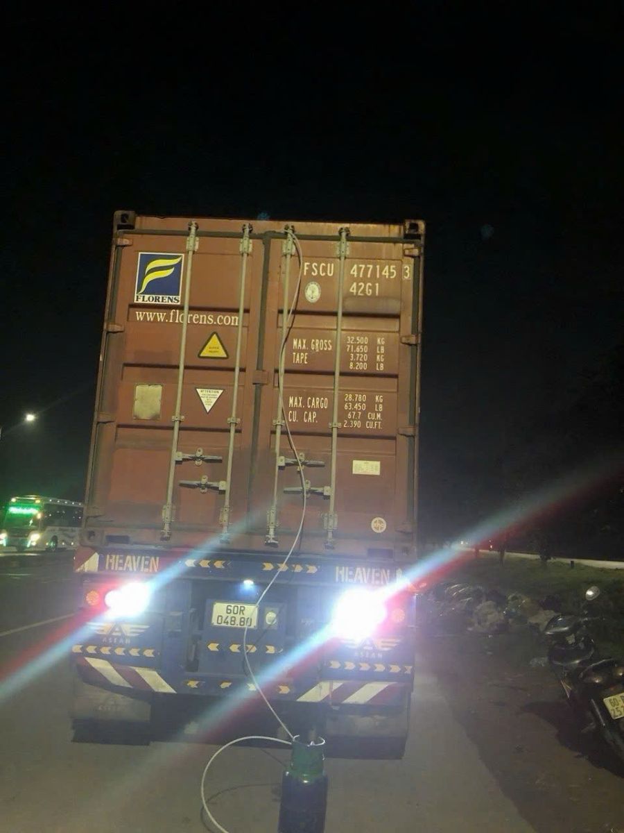 Hun Trùng Pallet Gỗ Xuất Khẩu